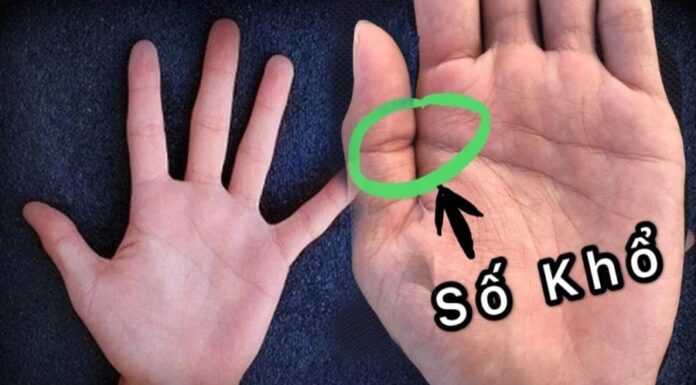 The Palmistry Predicament: Unraveling the Mystery of Lines and Fate
Uncover the secrets hidden in the palm of your hand. Is it true that those with many life challenges have fewer blessings? Discover the answer by examining the three distinct marks that foretell a turbulent destiny.