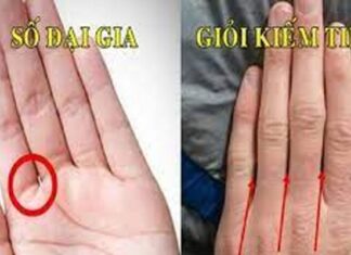 Unlock Your Destiny: A Palm Reading Revelation