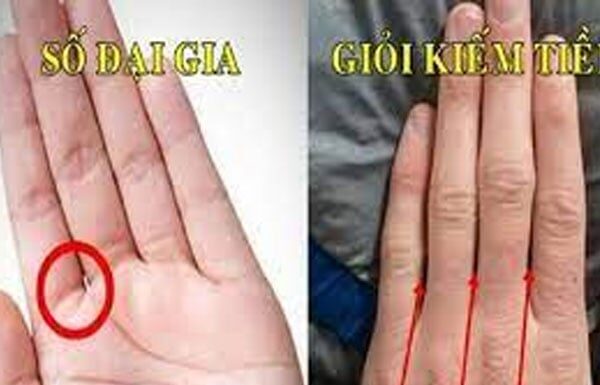 Unlock Your Destiny: A Palm Reading Revelation