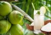 The Coconut Conundrum: How Drinking Coconut Water the Wrong Way Can Be Harmful to Your Health