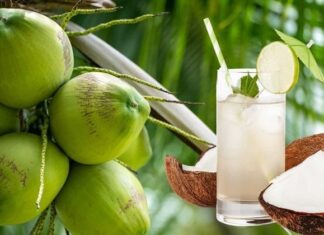 The Coconut Conundrum: How Drinking Coconut Water the Wrong Way Can Be Harmful to Your Health