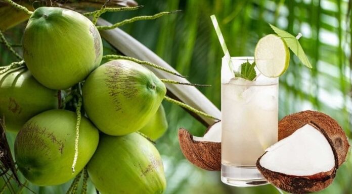 The Coconut Conundrum: How Drinking Coconut Water the Wrong Way Can Be Harmful to Your Health