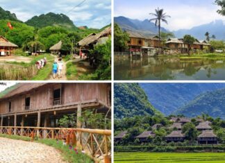 Enchanting Nature’s Embrace: Unveiling 6 Idyllic Spots in the Serene ‘Muse of the Northwest’