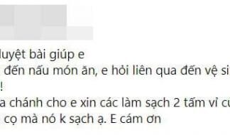 The Grease-Clogged Range Hood: A Plea for Help, An Overflow of Creative Solutions