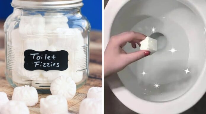 The Magic Potion to Save Your Pennies: DIY Toilet Freshener and Cleaner
