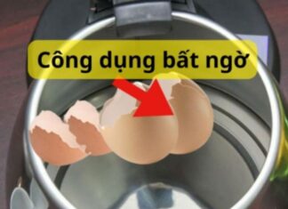 The Magic of Eggshells: Supercharging Your Garden, Cleaning, and Coffee Experience