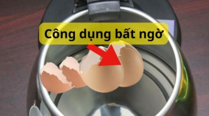 The Magic of Eggshells: Supercharging Your Garden, Cleaning, and Coffee Experience