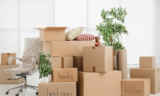 The Perfect Moving Date in November 2024 for Prosperity and Good Fortune