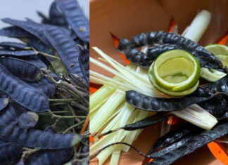 The Mystical Power of the Bo Ket Fruit: Unveiling its Dual Nature in Vietnamese Culture