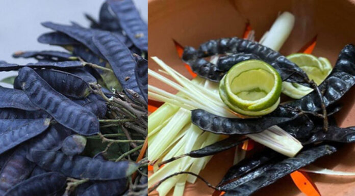 The Mystical Power of the Bo Ket Fruit: Unveiling its Dual Nature in Vietnamese Culture