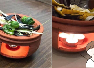 The Power of Grapefruit: Unveiling Surprising Benefits and Uses of its Peel