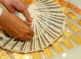 The Golden Drop: Navigating the Fall in Gold and USD Prices