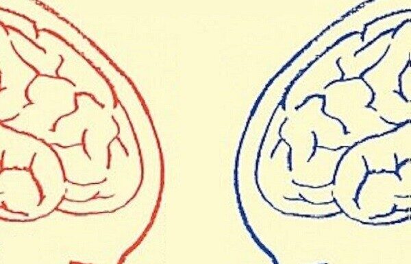 Who’s Smarter: Boys or Girls? Unveiling the Truth Many Parents Are Unaware Of.