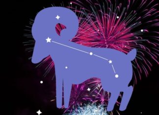 The Lucky Three: Scooping Up Heavenly Fortune on New Year’s Day