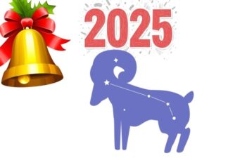 The Lucky Three: How These Zodiac Signs Will Soar in Success and Wealth Post-New Year