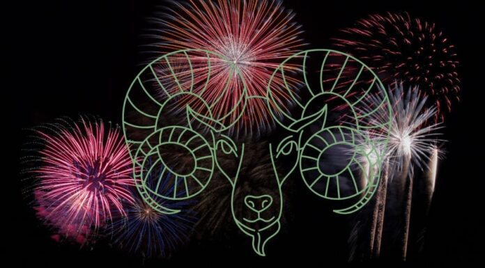 The Lucky Numbers for the 12 Zodiac Signs to Welcome Heaven’s Fortune and Banish Bad Luck