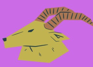 Unlocking Prosperity: The Lucky Numbers Bringing Abundance to the 12 Zodiac Signs on November 14th.