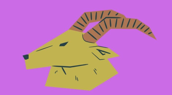 Unlocking Prosperity: The Lucky Numbers Bringing Abundance to the 12 Zodiac Signs on November 14th.