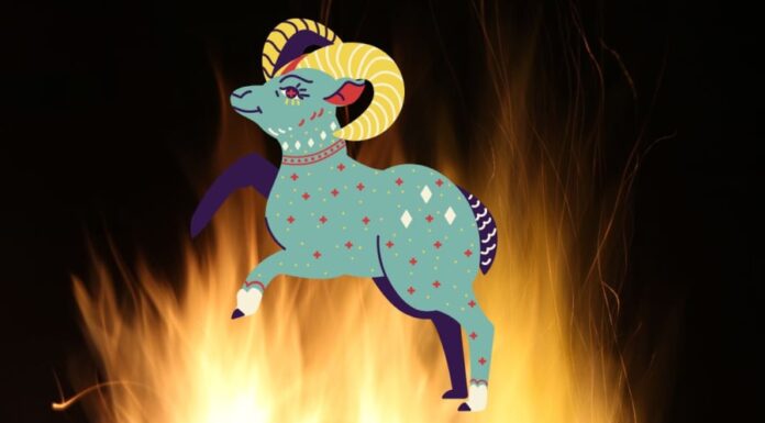 The Lucky Numbers for the Zodiac Signs on December 26: Unlocking Prosperity and Abundance for a Life-Changing Fortune.