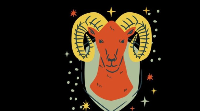 The Lucky Numbers You Need to Know for Each Zodiac Sign on December 28th