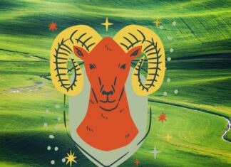 The 3 Zodiac Signs That Will Soar to Success: A Fortune-Filled Forecast