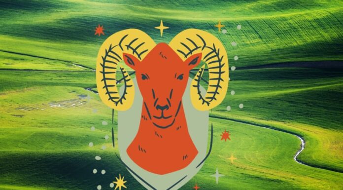 The 3 Zodiac Signs That Will Soar to Success: A Fortune-Filled Forecast