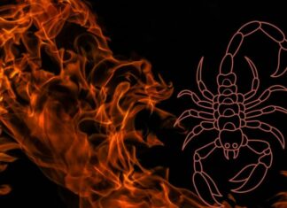 The Zodiac’s Fearless Three: Defying Fate for Sweet Success and Divine Blessings of Wealth