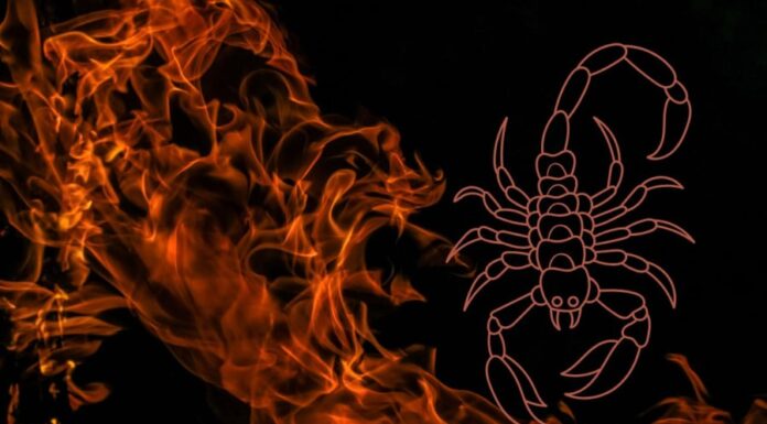 The Zodiac’s Fearless Three: Defying Fate for Sweet Success and Divine Blessings of Wealth