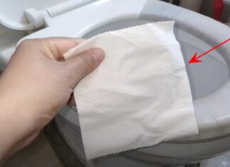 Why You Should Put Toilet Paper in the Bowl Before You Go