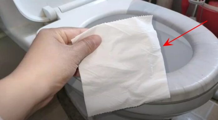 Why You Should Put Toilet Paper in the Bowl Before You Go