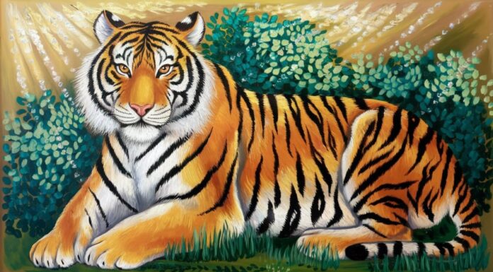 The Year-End Windfall: 3 Chinese Zodiac Signs Blessed With Abundance in the Lunar Month of December