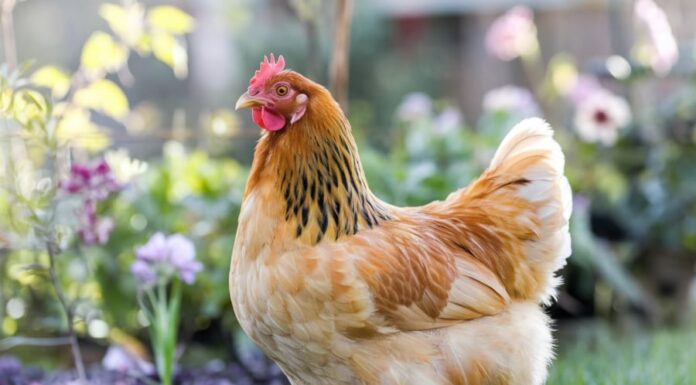 Unlocking Fortune and Fate: Discover the 3 Zodiac Signs Blessed with Abundance and Love on January 8th