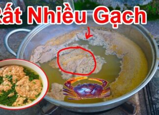 “The Ultimate Crab Soup: Unlocking Nature’s Delicious Block”