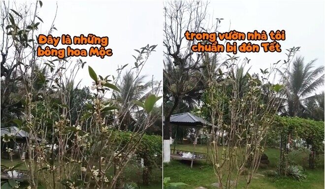 The Great Comedian Xuan Bac’s Resort-Like Home: A Fragrant Flower Kingdom with a Stunning Rose Garden Fit for a Queen