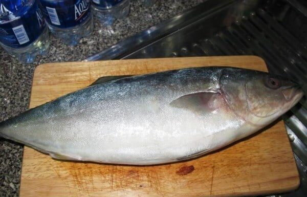 The Ultimate Delicacy: A Blush-Worthy Treat that’s Taking the City by Storm