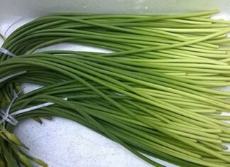 The Wild Roadside Weed That Became a Delicacy: A Surprising Taste Sensation