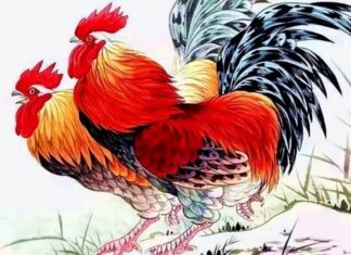 The Big Weekend: 3 Days of Wealth, Love and Fame