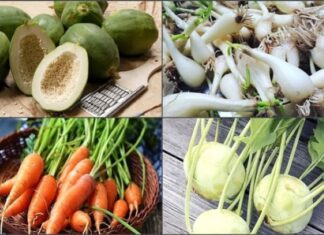 The Ultimate Guide to Making Delicious and Crisp Pickles That You’ll Never Get Tired Of