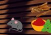 The Ultimate Guide to Mouse-Proofing Your Home: Natural Kitchen Remedies to Keep Them Scurrying Away for Good