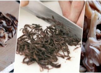 The Ultimate Guide to Making Delicious, Crispy Vietnamese Pork Sausage: “Giò Thủ”