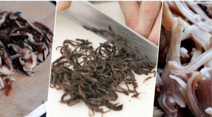 The Ultimate Guide to Making Delicious and Crispy Vietnamese Pork Sausage (Giò Thủ): A Traditional Delicacy