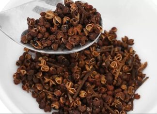 The Ultimate Flavor Profile: Discover the 4 Signature Spices of Vietnam’s Northwest Highlands