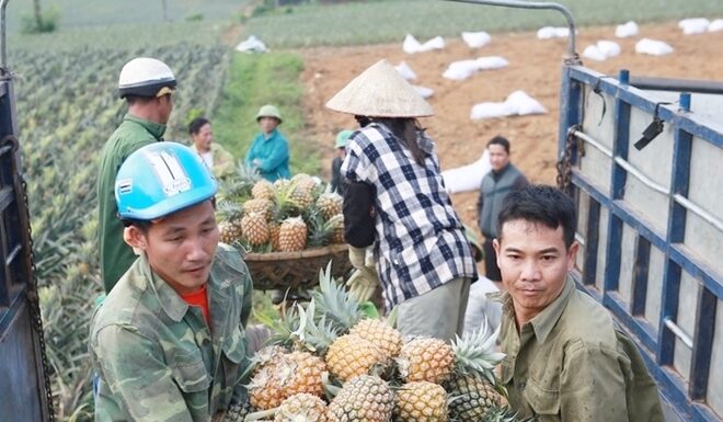 The King of Tropical Fruits: A Thorny Exterior Hides a Fragrant Interior, Reaping $400,000 Annually for This Savvy Farmer.