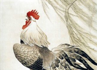 The Next 2 Months: 3-Year-Olds Turn into ‘Money-Making Machines’, Taking a Leap to Success and a New Chapter in Life