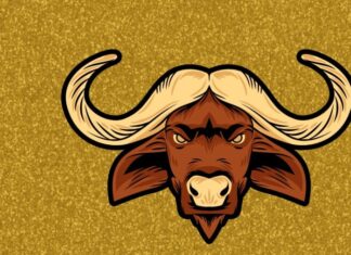 The Stars Align: Unveiling the Lucky Numbers for a Fortunate Zodiac Forecast on November 10th