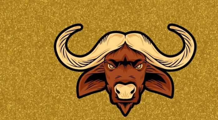 The Stars Align: Unveiling the Lucky Numbers for a Fortunate Zodiac Forecast on November 10th