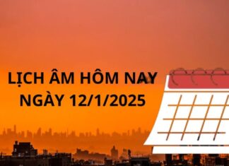 The Lucky 3: How These Zodiac Signs Can Seize a Wealth of Opportunities on January 12th’s Auspicious Date