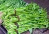 The Ultimate Guide to Cooking Perfect Water Spinach: A Step-by-Step to Crisp, Green Water Spinach Every Time