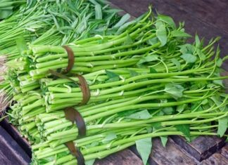 The Ultimate Guide to Cooking Perfect Water Spinach: A Step-by-Step to Crisp, Green Water Spinach Every Time
