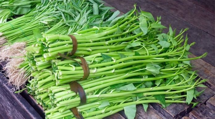 The Ultimate Guide to Cooking Perfect Water Spinach: A Step-by-Step to Crisp, Green Water Spinach Every Time